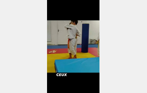 JUDO EN STAGE D'ETE