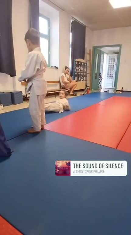 PASSAGE DE GRADES A TERRATS BABY JUDO